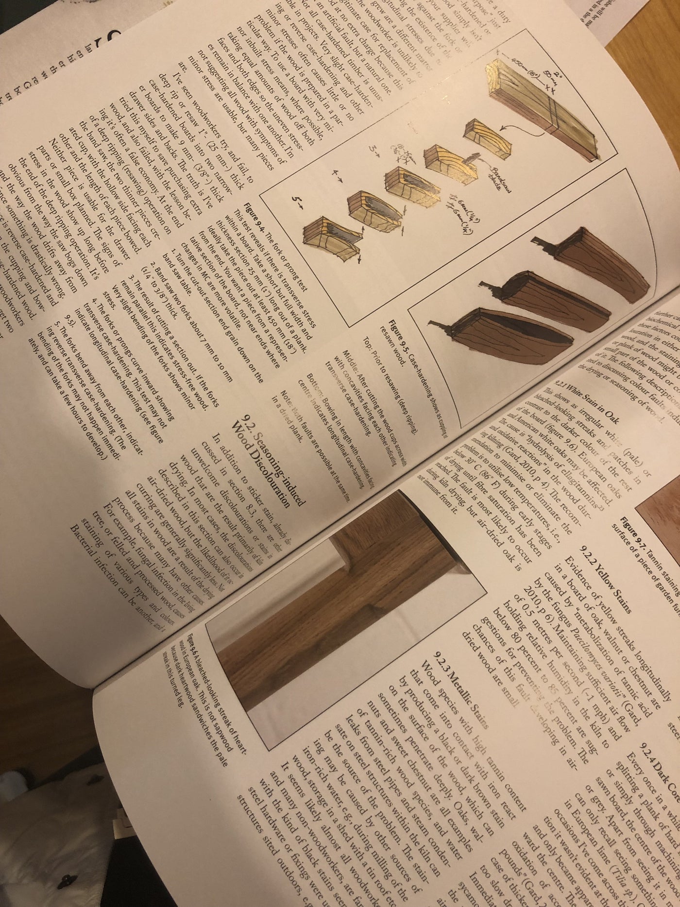 Cut & Dried - A Woodworker's Guide to Timber Technology