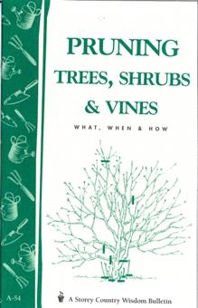 Pruning Trees, Shrubs and Vines
