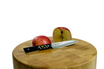 Gyuto Kitchen Knife