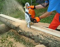 Haddon Lumber Maker Turn Your Chain Saw Into a Mini Sawmill