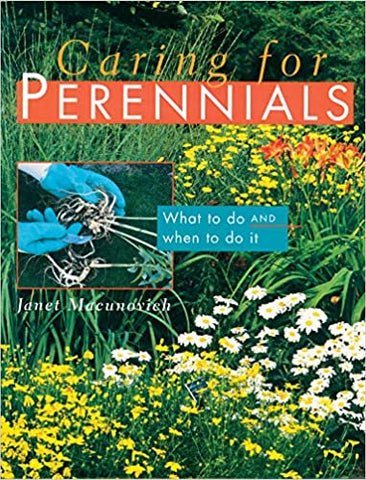 Caring For Perennials: What to Do and When to Do it