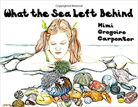 What the Sea Left Behind